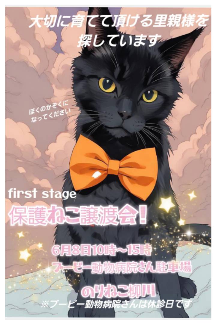 ブービー動物病院譲渡会